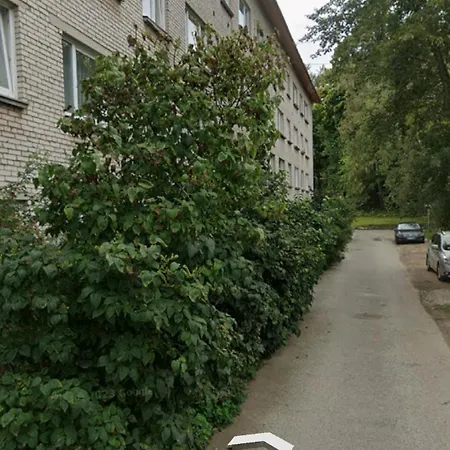 Smart Flat - Ranna 49 아파트