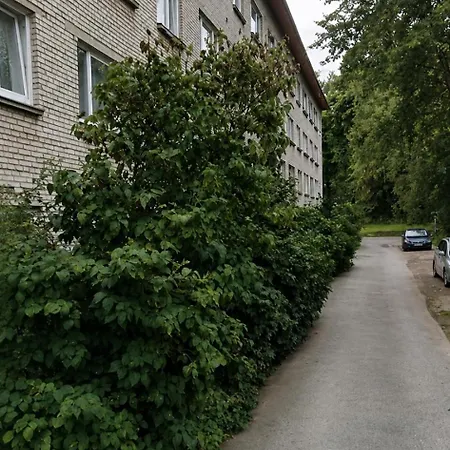 Апартаменты Smart Flat - Ranna 49 Силламяэ