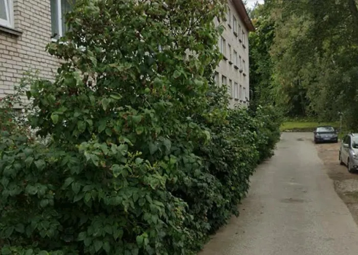 Smart Flat - Ranna 49 Apartment